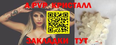 шишки Будённовск