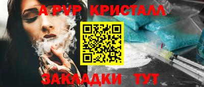 шишки Будённовск