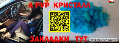 шишки Будённовск